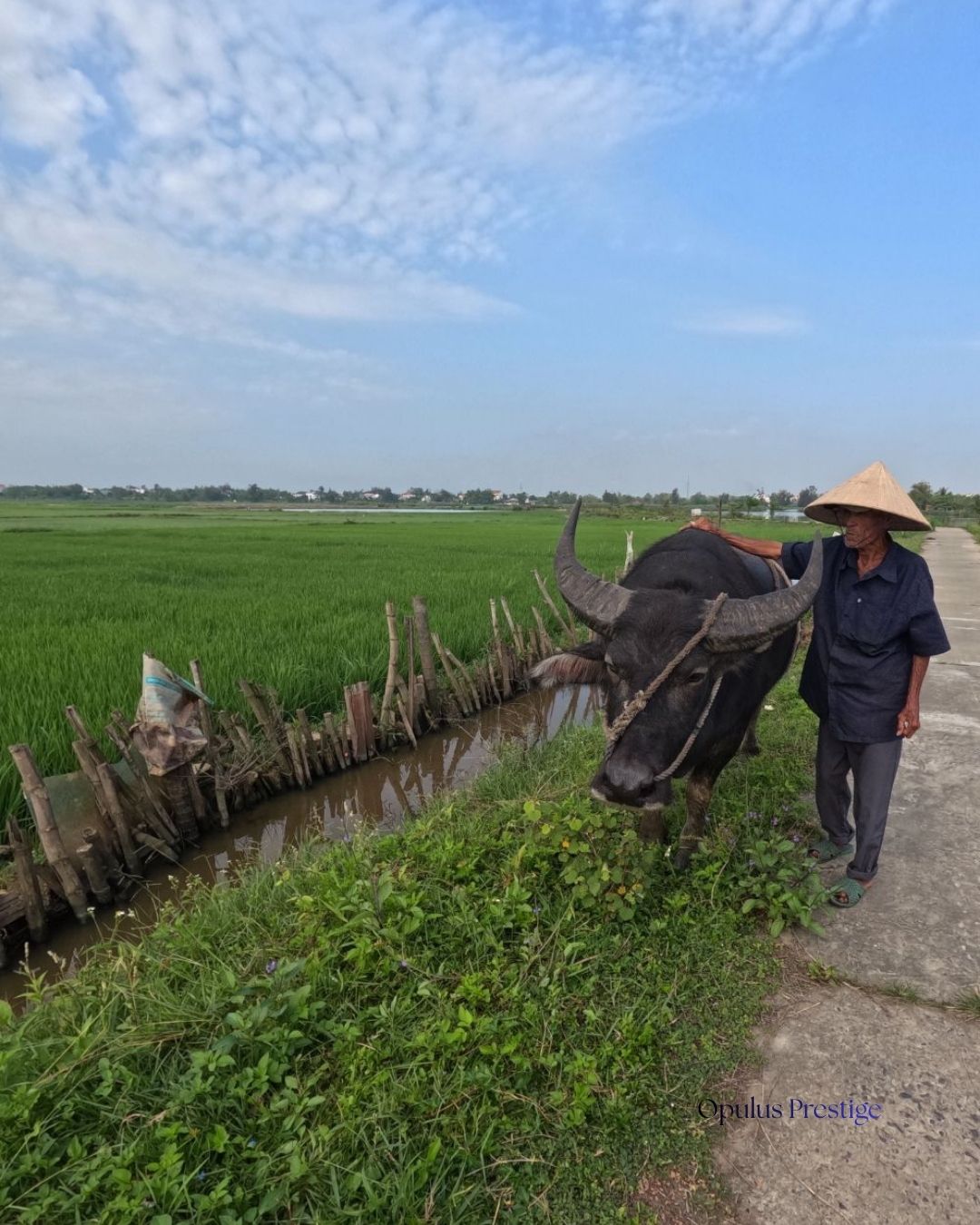 Top Travel Destinations for 2027 and Beyond - Vietnam Cambodia and Bangkok